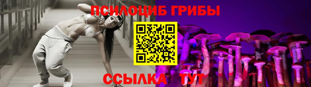 Галлюциногенные грибы GOLDEN TEACHER  Галлюциногенные грибы Psilocybine cubensis  Анжеро-Судженск  Вход с VPN 